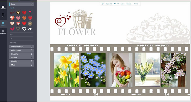 Creative flower collage