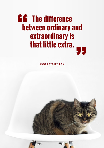 Cat Photo Motivational Quote Poster Template