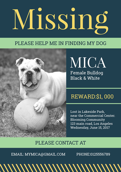 Lost Dog Poster Design Template