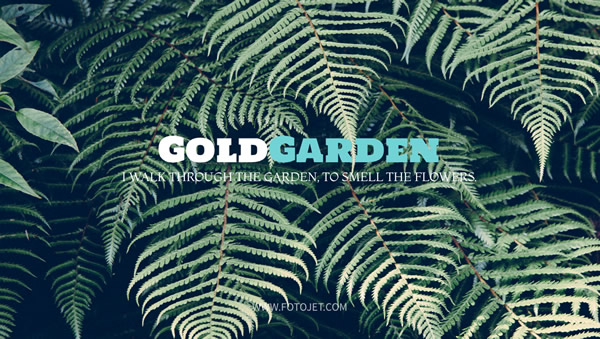 Gold Garden Google Plus Cover Photo Template