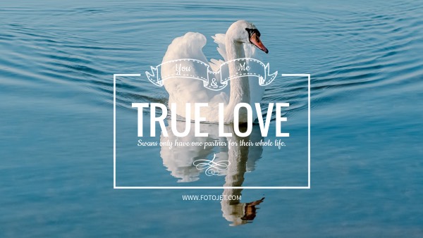 True Love YouTube Channel Art Template
